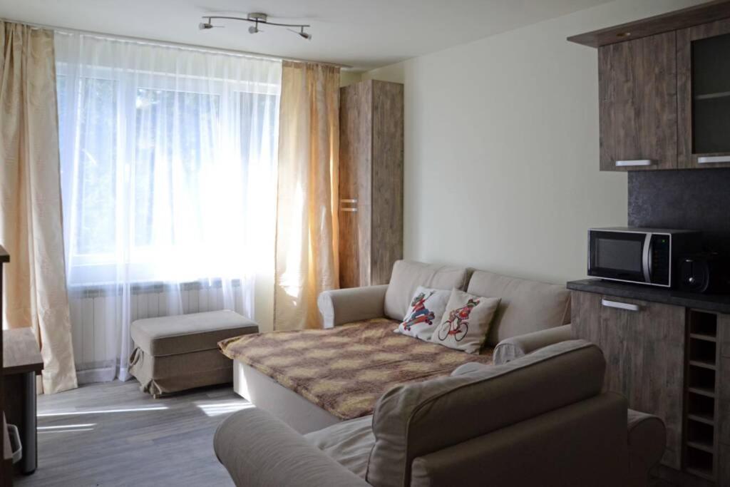 Cozy One Bedroom Apartment In Iglika Complex Boroveț Exterior foto